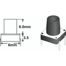 Tact Switch 6mm