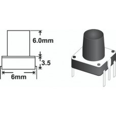 Tact Switch 6mm